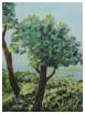 M�diterran�e - Huile - Sprockeels